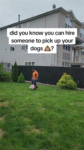 Staten Island Dog Poop Cleanup #dogwasteremoval #statenislanddogs #backyard #pooperscooperservice