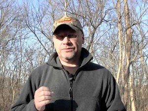 Triploid Grass Carp And Pond Weeds