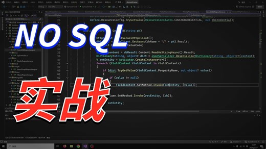 .Net轻量级框架-NoSql数据库（基于CounchDB和ES的支持）
