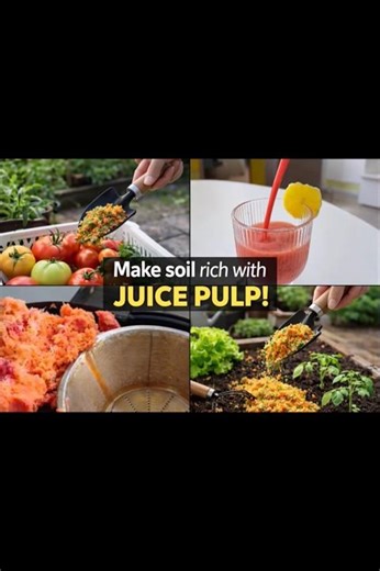 Your soil is hungry… feed it juice pulp! / Turn Juice Pulp into Rich Soil 🌱 !#OrganicGardening