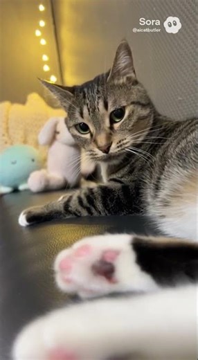 Cat says BARK?! 🐱🐶