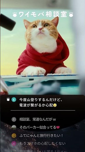 Y!mobile「ワイモバ相談室 スターリンクも料金コミコミ」篇 15秒 for short