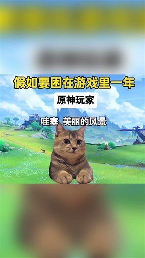 假如要困在游戏里一年！#memes #game #funny