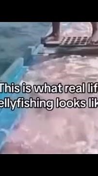 What REAL JELLYFISHING Looks Like😳