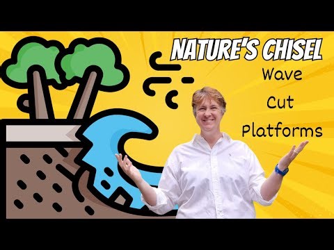 Secrets of the shoreline: The Art of Wave Cut Platforms