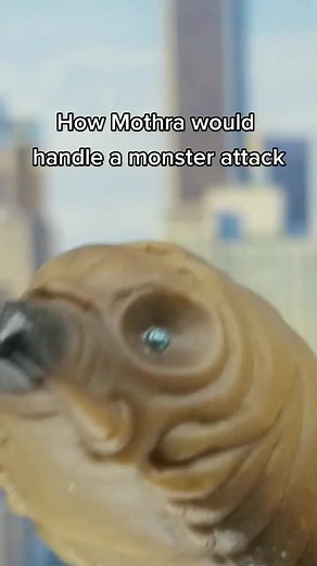 Use your words #godzilla #mothra #ultraman #redking #mechagodzilla #mogera #kaiju_memez