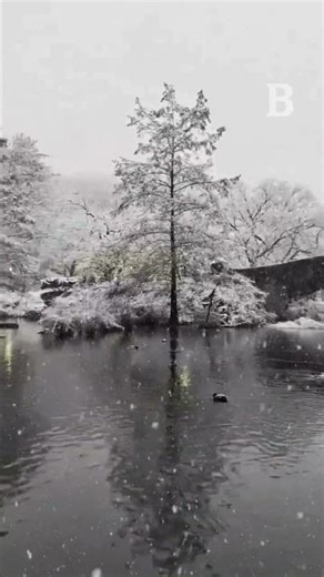 Η Νέα Υόρκη ντύθηκε στα λευκά