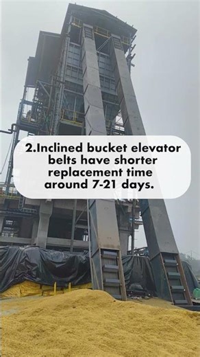 Inclined Bucket Elevator vs Steep Angle Conveyor