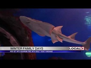 Newport Aquarium offers 1 free child's ticket with purchase of adult ticket