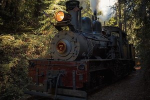 Best Movies Featuring Trains | Save A Train