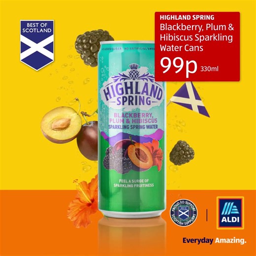 We had to find out what all the fuss was about, so we've brought them into our stores! 🏴󠁧󠁢󠁳󠁣󠁴󠁿🙌 And only 99p... IYKYK 👀 #AldiScotland #HighlandSpring | Aldi Scotland