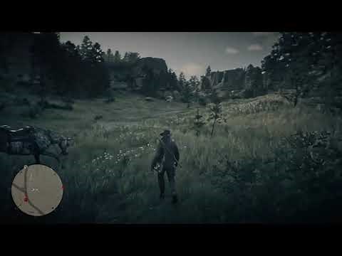 Indian Tobacco Locations | RDR2