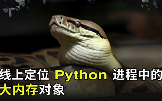 线上定位 Python 进程中的大内存对象（使用 OpenResty XRay）（中文讲解）