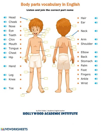 Body parts interactive worksheet for pre-intermedia