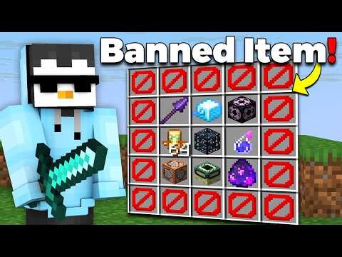 Why, I Obtained Banned Items on This Public Lifesteal SMP