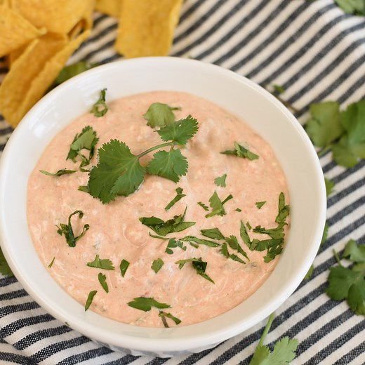 Cream Cheese Salsa Dip - 2 Ingredients - Pitchfork Foodie Farms