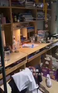 Cockroach challenge | Natural World