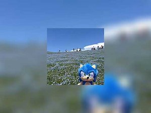 Light Camera Action - Sonic Mania (sped up)