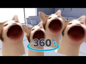POP CAT 360° - Cat pop-pop in your room!