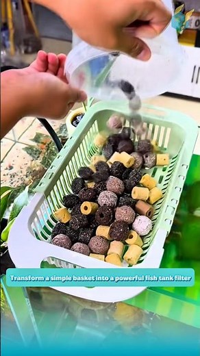 Transform a simple basket into a powerful fish tank filter