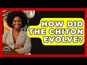How Did The Chiton Evolve? - Archaeology Quest
