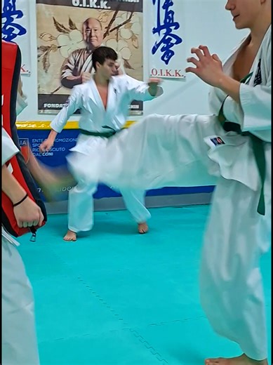 Mastering Kyokushinkai Karate Techniques