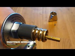 Vorstvrije gevelkraan