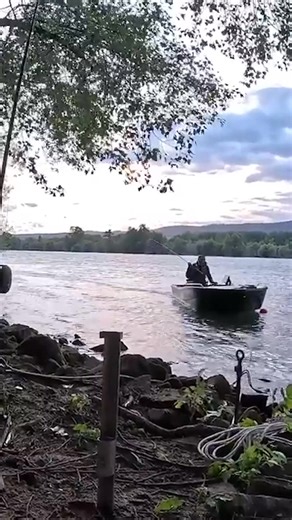 15K views · 150 reactions | Neues Video TOTER KÖDERFISH auf WELS -...