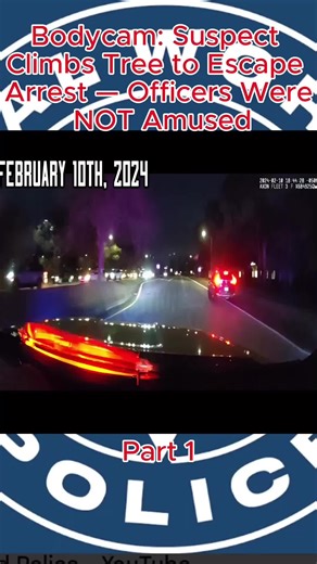 realworldpolice3 (@realworldpolice3)’s videos with original sound - realworldpolice3