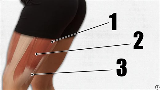 如何增长和加强你的腿筋（2个最佳锻炼+最常见的训练错误）