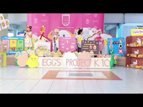 EEP K1C : Egg Project