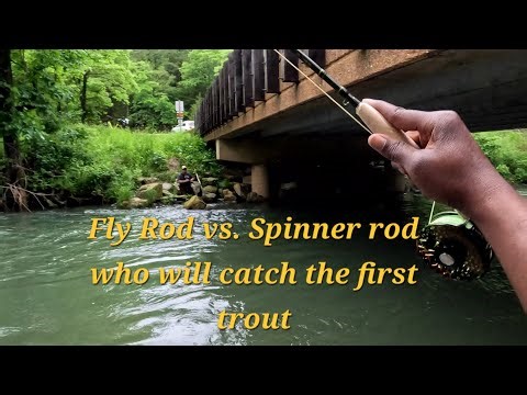 Fly fishing at Montauk State Park. Can I catch a trout before a spinner?
