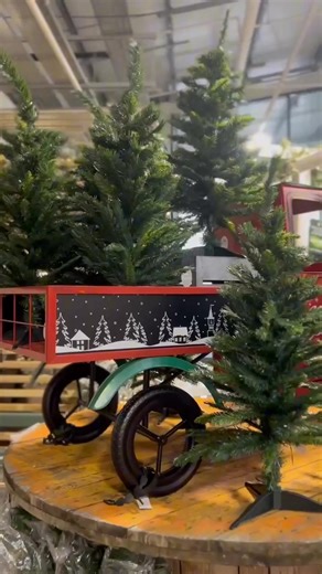 🎄FREE MINI TREE FOR MEMBERS!🎄 Bring a little extra festive cheer home with you when you shop! Spend £50 in store and grab a 90cm Mini Christmas Tree completely FREE! Simply scan your Green Card at the till to redeem! ✨ Don’t have a Green Card? Find out how you can become a member for FREE this weekend! Click here... https://www.yorkshiregardencentres.co.uk/greencard Hurry - this offer ends 2nd November, while stocks last. #FreeMiniTree #FestiveCheer #YorkshireGardenCentre #ChristmasIsComing #G