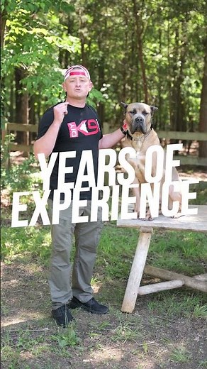 The BEST Online Dog Training Courses Are Available Right Now for 20% Off When You Use Code MD2024