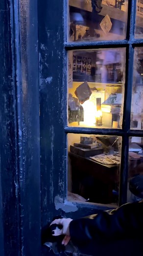 Exploring Markus Scarr's Indelible Tattoos Shop in Diagon Alley