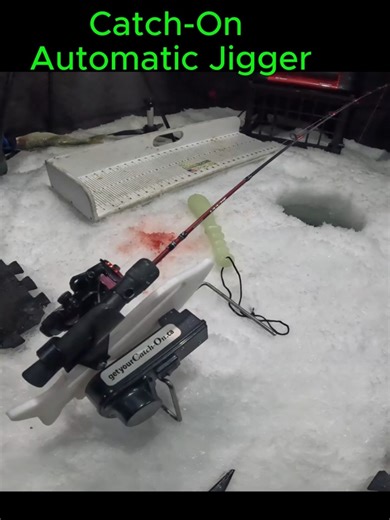 Fish Hits the Jigger — Livescope Catches Everything #shorts #icefishing #fishing