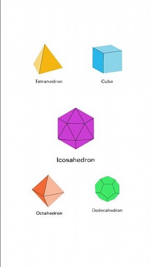Advanced geometry level 3, Geometric Bodies, Convex Polyhedron Polygons #maths #geometry #shorts