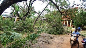 DMK announces Rs 1 crore relief for cyclone Gaja