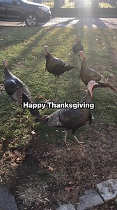 Brian Hancock on Reels