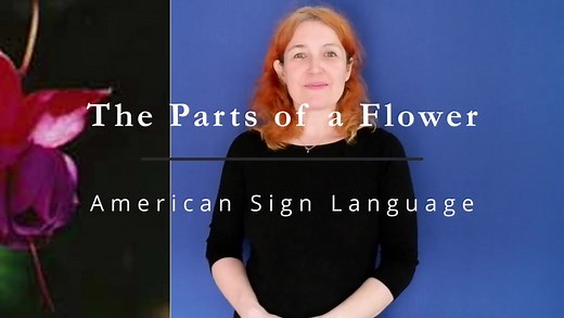 The parts of a flower in American Sign Language