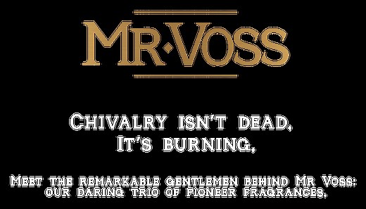 Mr Voss - Simone Voss