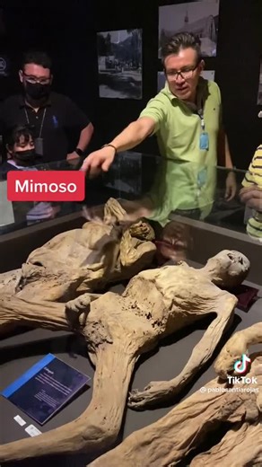 281K views · 654 reactions | VISITA EL MUSEO DE LAS MOMIAS CON...