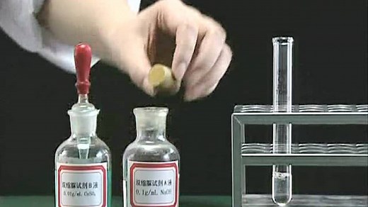 高中生物演示实验 | 02 检测生物组织中的糖类、脂肪和蛋白质