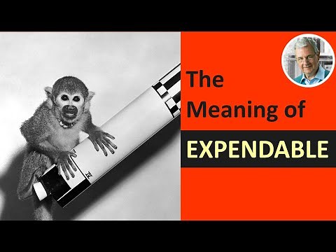 What is the Definition of EXPENDABLE? (Illustrated Example)