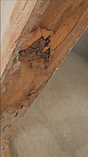 #civilengineeringsupport #designofreinforcedconcretestructure #house