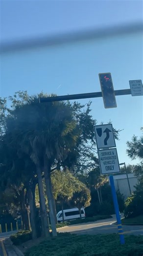 #princesscastle #Princess castle #orlandoflorida | Nichelle Hall