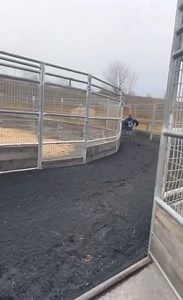 2.3M views · 14K reactions | He's training to be in Farmula 1 some day. | F1 Lead | Facebook