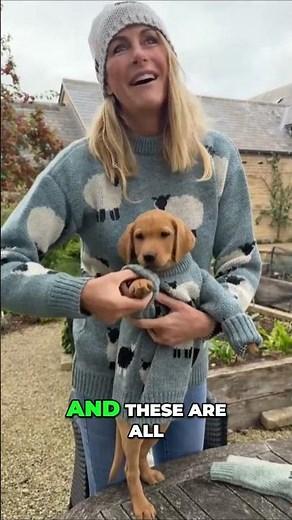 Lisa Hogan's Dog Fashion on Jeremy Clarkson's Farm #irish #farming #dogs #labrador #pets