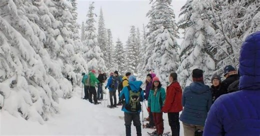 Snow is near and so are winter activities, purchase your Sno-Park permit now!