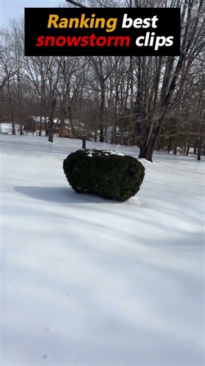 Best snowstorm clips🥶🥶🥶 #shorts